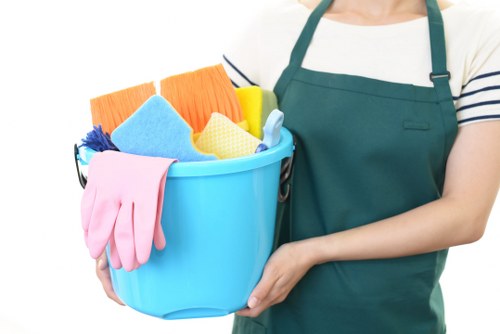 Professional gutter cleaning service in Aldborough Hatch