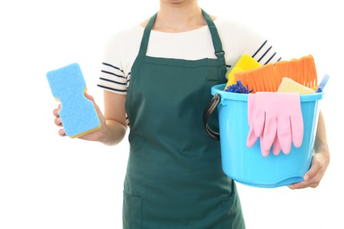 Professional cleaners preparing to clean a rental property