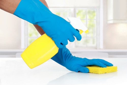 Professional cleaning service in Aldborough Hatch