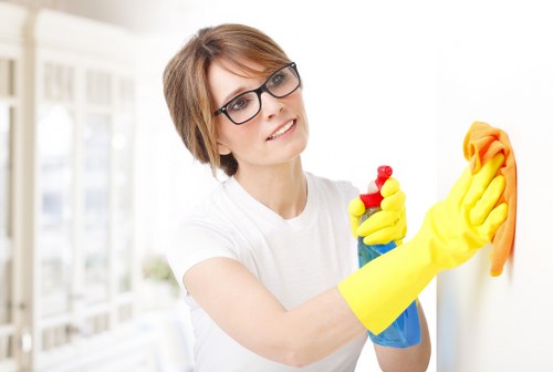 Clean windows with professional cleaning equipment