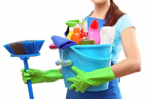 Range of upholstery cleaning services offered