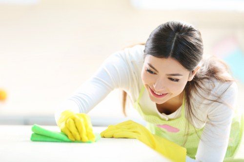 Clean, professional oven being cleaned by experts