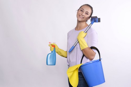 Eco-friendly cleaning practices