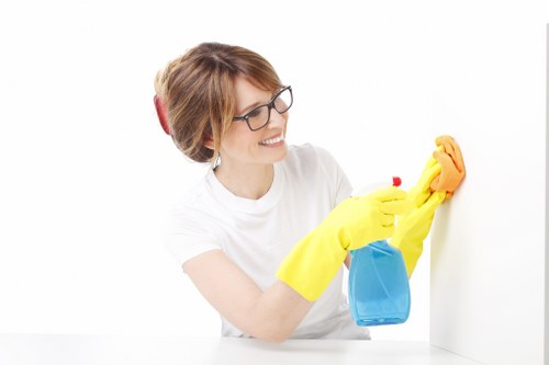 High-rise window cleaning professionals