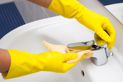 Eco-friendly cleaning solutions in use