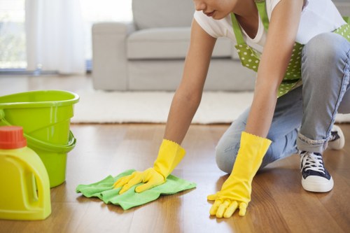 Experienced cleaners from Aldborough Hatch Cleaners