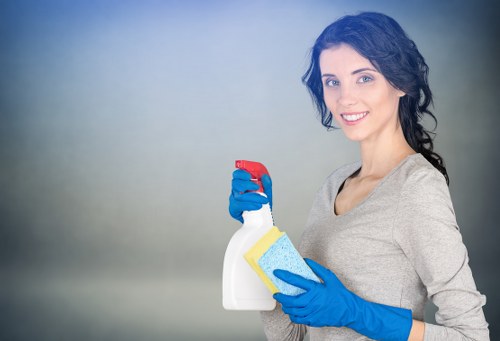 Clean gutters after professional service